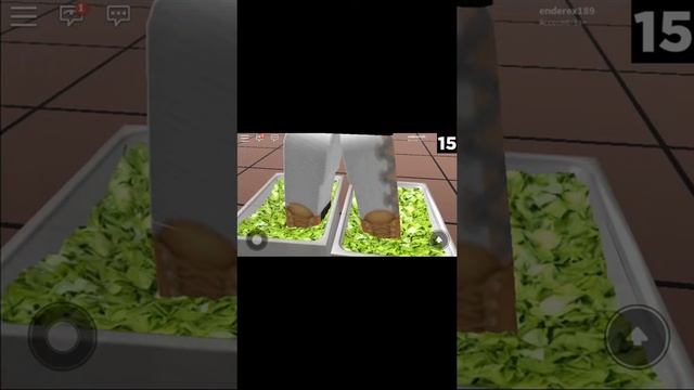 Roblox foot lettuce