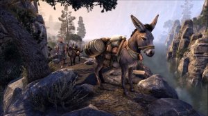 🤩New Inventory Pet Added To ESO | Elder Scrolls Online