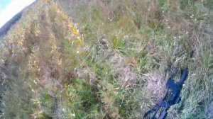 Охота с Сайга 12. Шёл на куропатку, а добыл утку.