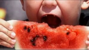 Из за чего горчит арбуз