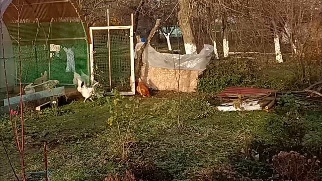 ЗИМА в станице. Краснодарский край. смотреть онлайн