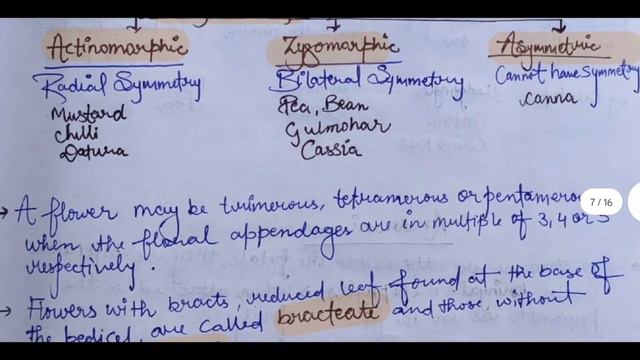 Biology Chapter-5 Morphology Of Flowering Plants Class-11 Best Handwritten Notes(PDF) NCERT | NEET