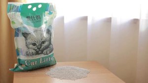 КАК ПРИУЧИТЬ КОТЕНКА К ЛОТКУ. ПОЛЕЗНЫЕ СОВЕТЫ.