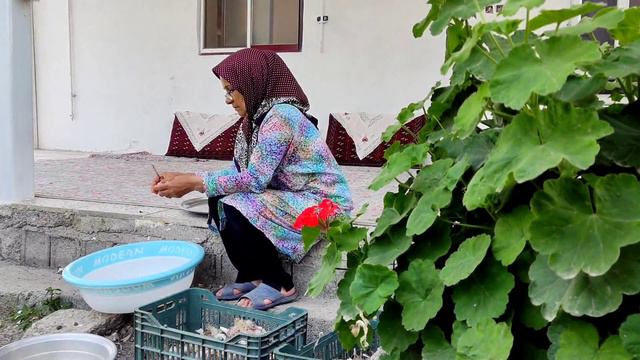 IRAN Village Life | 7-year-old Pickled Garlic |Planting, Harvesting And Pickling Organic Garlic | 4