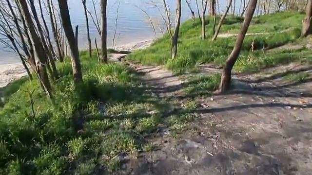 природа в днепрорудном.каховское водохранилище.