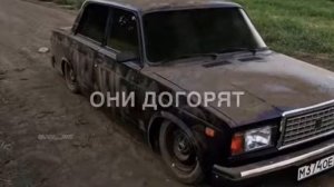 песня мой дикий сад ?