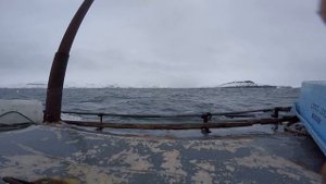 Баренцево море в районе острова малый олений 04.04.17