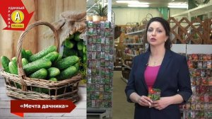 Самый неприхотливый гибрид Огурец "Мечта дачника"