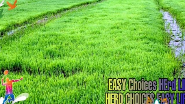 sketch background ringtone смотреть онлайн