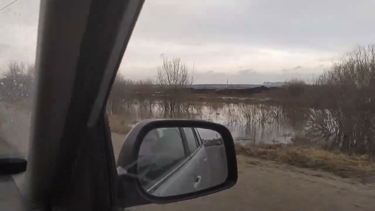 25.03.2023 Москва река. разлив в пойме. смотреть онлайн