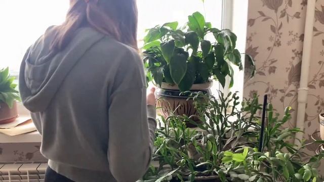 КВЕСТ НА ПАСХУ! ИЩУ ПОДАРОК! ЧТО ЭТО??? смотреть онлайн