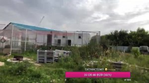 Выходной день!)