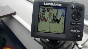 Мелкая рыба на эхолоте Lowrance hook 5x