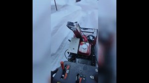 15 января 2024 г.