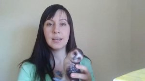 Как научить ребенка говорить простую фразу __ Логопед __ Развитие речи