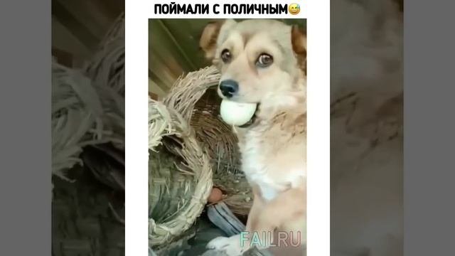 ккк