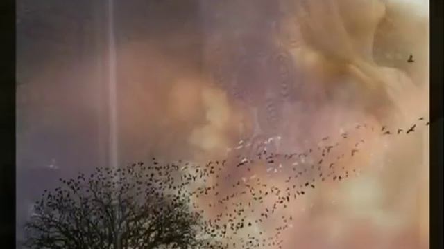 Wonderfull Elena PreKrasnaya!!! смотреть онлайн