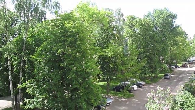 "КРАСОТА ТО КАКАЯ... ЛЕПОТА..." Минск, Чижовка 05.06.2022 смотреть онлайн