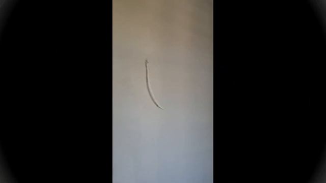 ЖК посейдон ремонт квартиры 35,5 кв.м смотреть онлайн