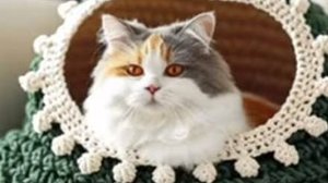 Открытка утро доброе - красивые открытки