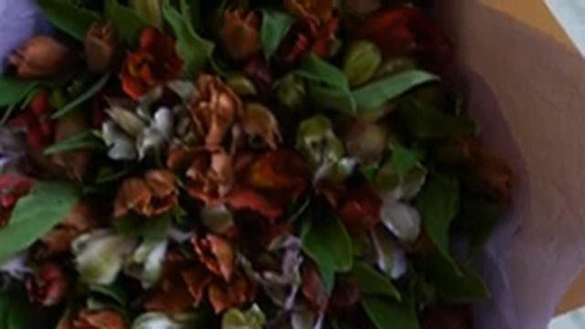 Букет из 23 альстромерий микс в ярких тонах смотреть онлайн