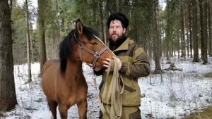 Все, что нужно знать о воспитания молодой лошади.