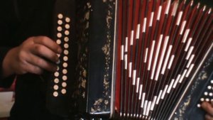 РАЗБОРЫ! под гармонь! На свете нет бабы такой!