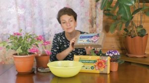 Чудо почва - почвобрикет: просто добавь воды! Как и в какой грунт пересадить домашние цветы зимой.