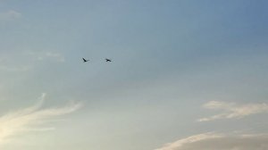 Лебаутский сор 2021.HONDA VARADERO XL 1000