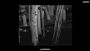 Anblick mit dem Infiray Xeye E3 Plus V2 Wärmebild-Handgerät ?