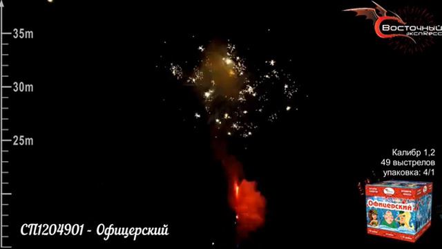 СП1204901   Офицерский