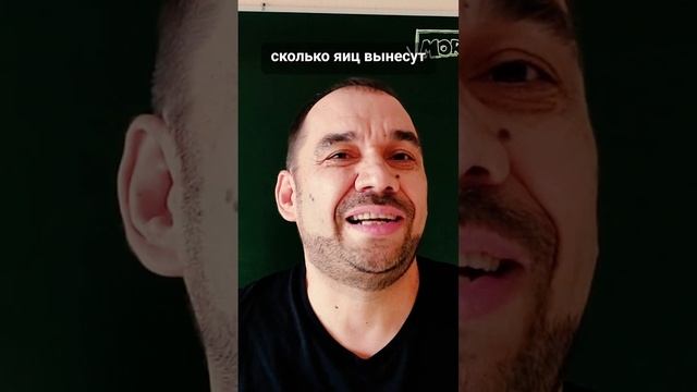 ?? Сколько яиц вынесут 4 курицы за 9 дней? Удивительная математика!