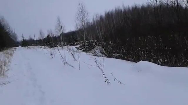 Раз под Новый год 24 12 16 г смотреть онлайн