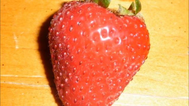 Клубника из семян. Лучшие сорта. Собираем коллекцию! смотреть онлайн