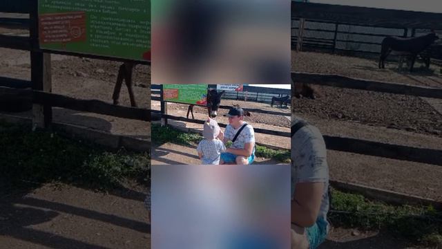 Папа и сын смотреть онлайн