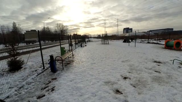 Обзор площадки для выгула собак Юми Шелти #Шелтишенок смотреть онлайн