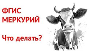 ФГИС Меркурий регистрация
