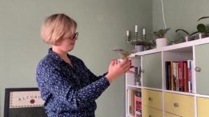 В гостях у тезки. Александра Мазаева и ее коллекция растений