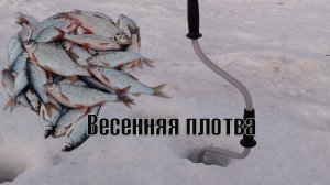 ВОТ ЭТО РЫБАЛКА !! ПОСЛЕДНИЙ ЛЁД НА РЕКЕ _УРЕНЬ_ ЛОВЛЯ ПЛОТВЫ НА БЕЗМОТЫЛКУ.