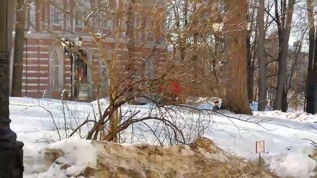 Экскурсия по парку Царицыно!!
