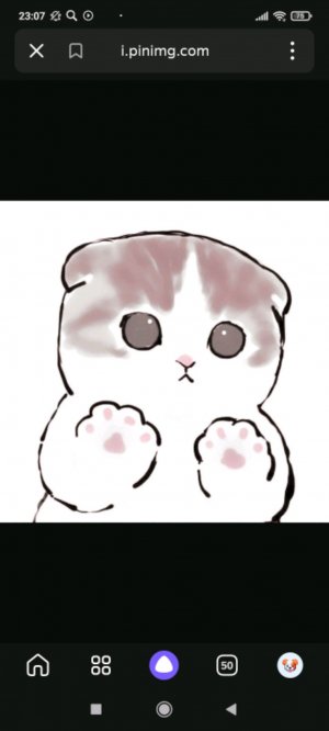 квадробика🐾