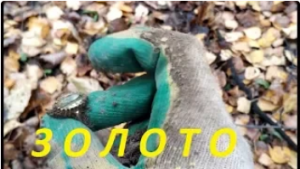 КОП УДАЛСЯ.Поиск с металлоискателем EQUINOX 600