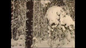 Долгая дорога домой (ЗСН 1 сезон 12 серия из 12)