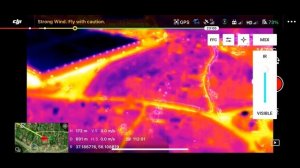Mavic 2 Enterprise Dual с тепловизором