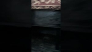 Спальник на Зубренке #МАЗ4370 #МАЗЗУБРЕНОК