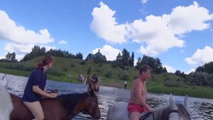 Купание лошадей
