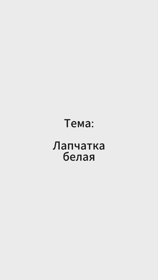 Лапчатка белая. Всего два слова. Алефиров А.Н.