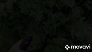 В поисках радужной форели.