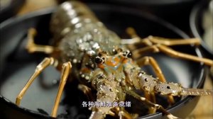 老广们的生蚝食用指南，快来一场“蚝”门盛宴：炭烤生蚝、蒜蓉生蚝