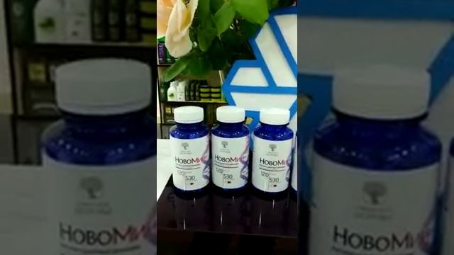 Северное Сияние НовоМин смотреть онлайн